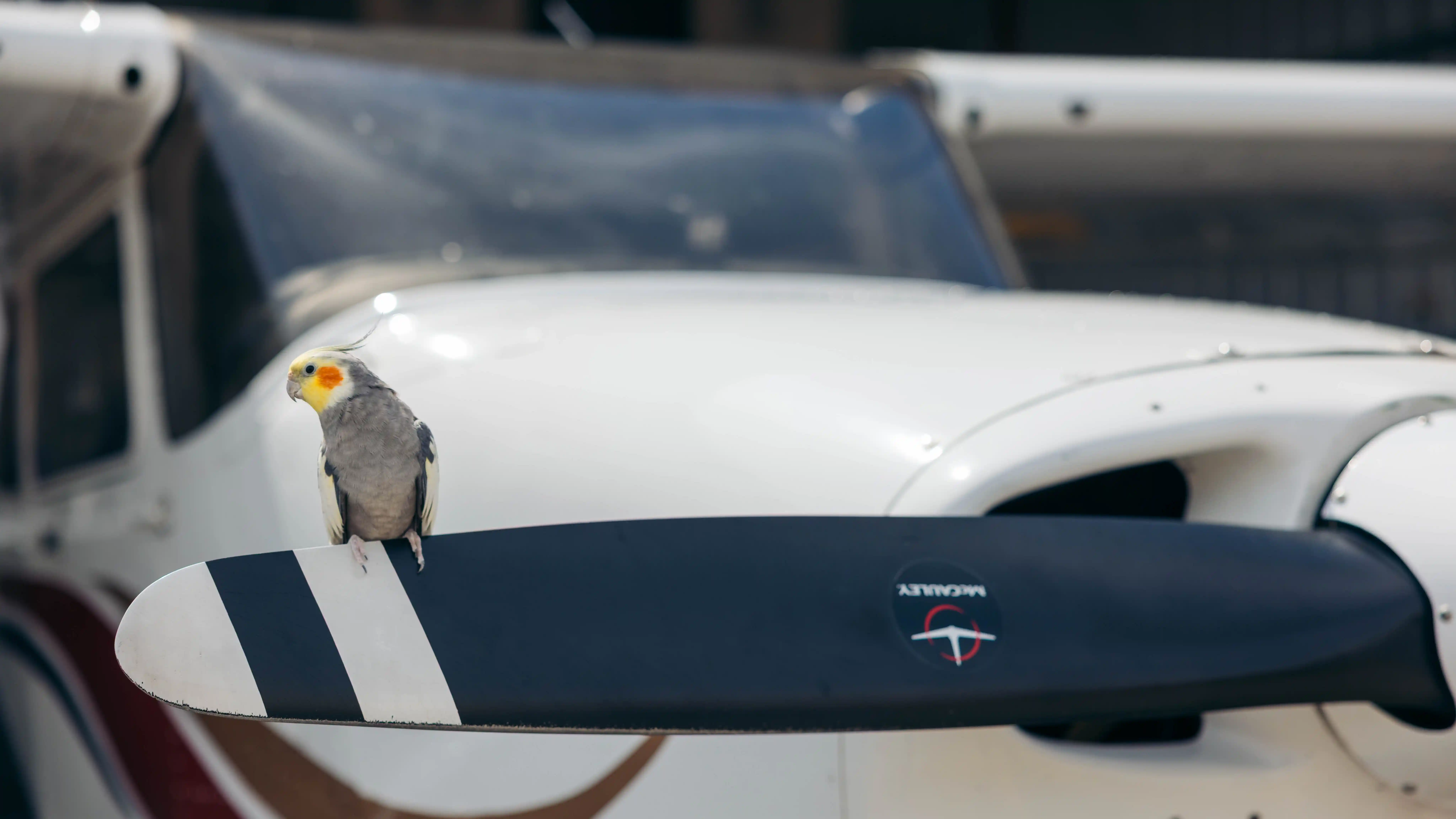 la flight academy los angeles flight school Jet 2